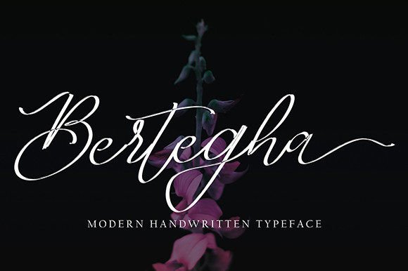 Bertegha: Elegant Script Font