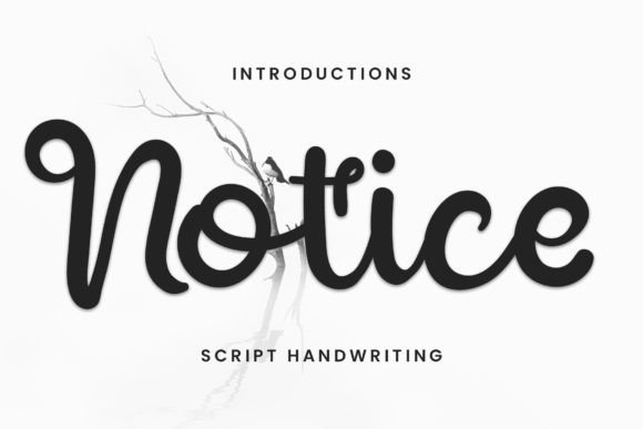 Notice: A Handwritten Script Font That Elevates Your Brand