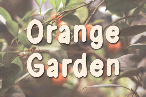 Orange Garden Font Review