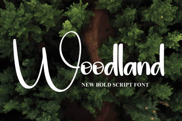 Woodland Font: A Bold Choice for Editorial Design and Reader Engagement